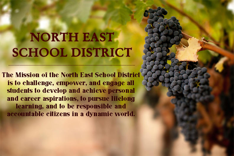 The Mission of the North East School District is to challenge, empower, and engage all students to develop and achieve personal and career aspirations, to pursue lifelong learning, and to be responsible and accountable citizens in a dynamic world.